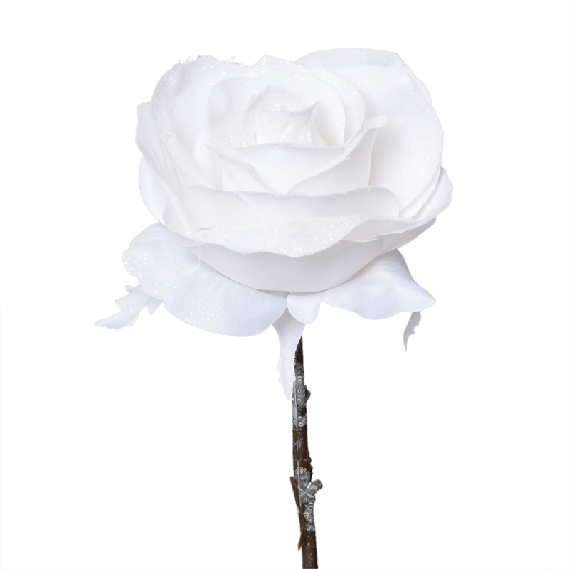 Rose blanche L'Incroyable